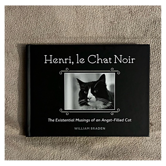 CAT HUMOR YouTube Star HENRI le CHAT NOIR Parody Satire LITTLE ART PHOTO BOOK - Picture 2 of 7